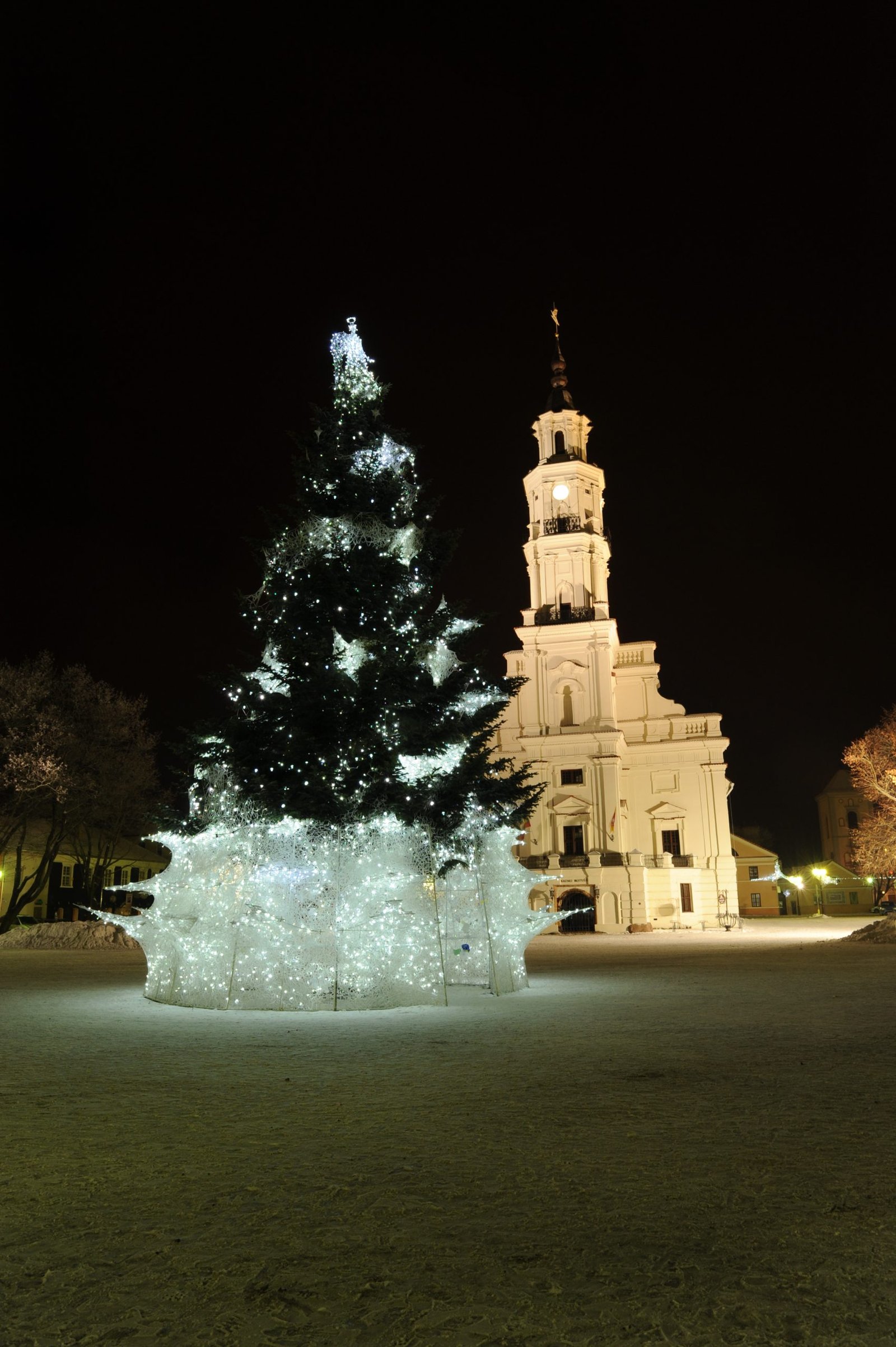 Balta serksno