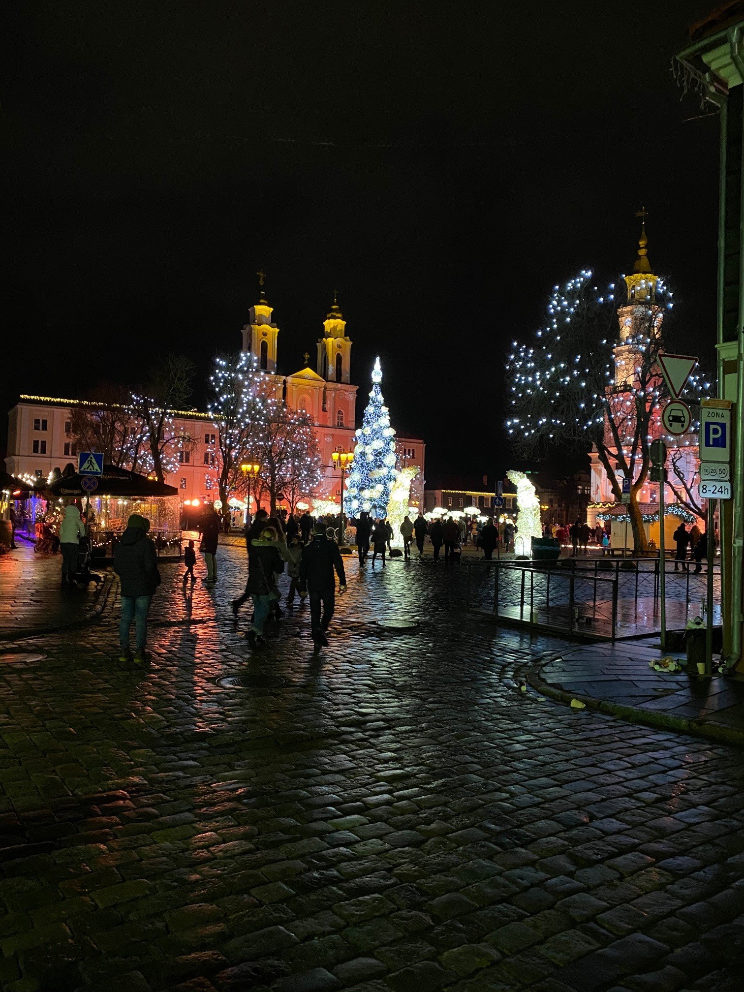 Kalėdinė ,,cukrinė eglė,, 15