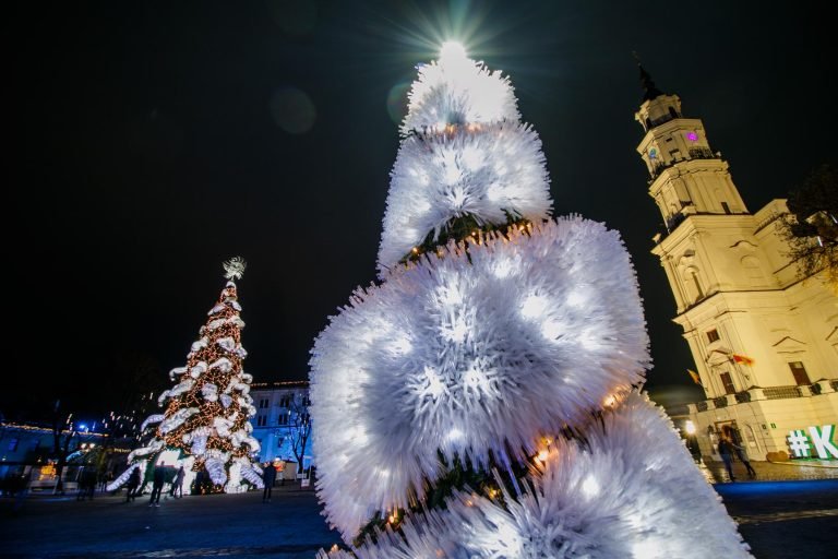 Kalėdinė eglė ,,Žiemos karalienė,, 2018 m 14