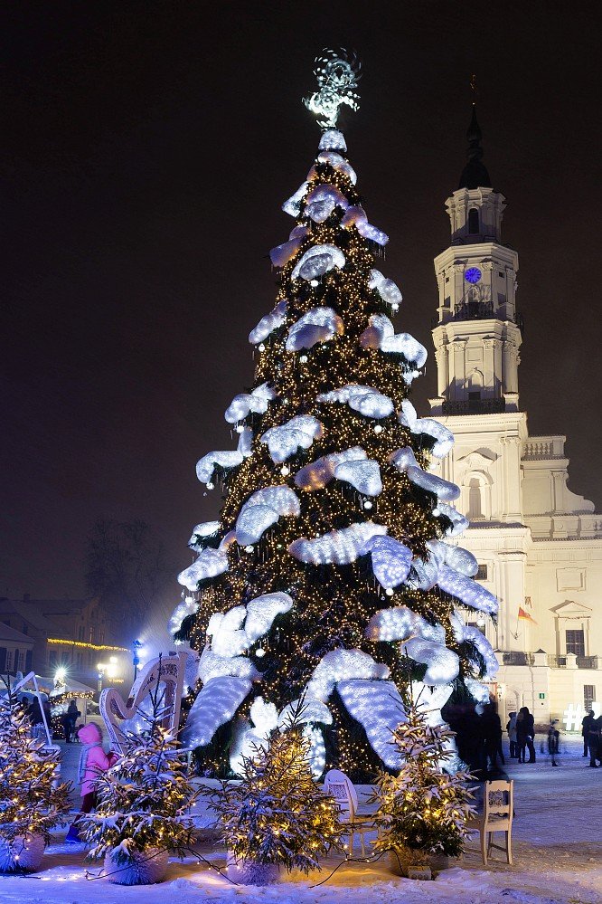 Kalėdinė eglė ,,Žiemos karalienė,, 2018 m 2