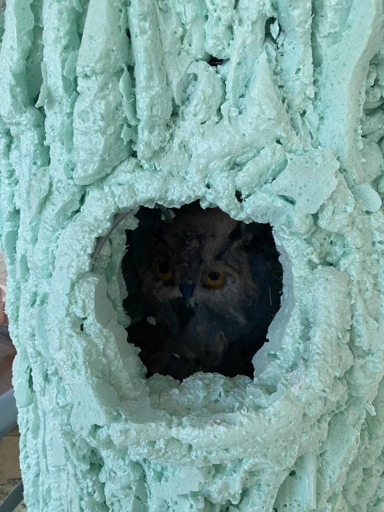 Menininkų vasara kauno zoologijos sode 12