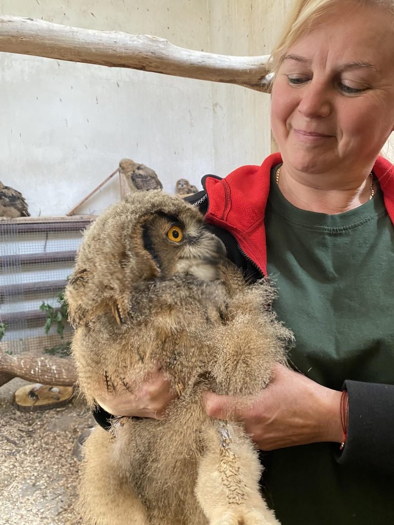 Menininkų vasara kauno zoologijos sode 13