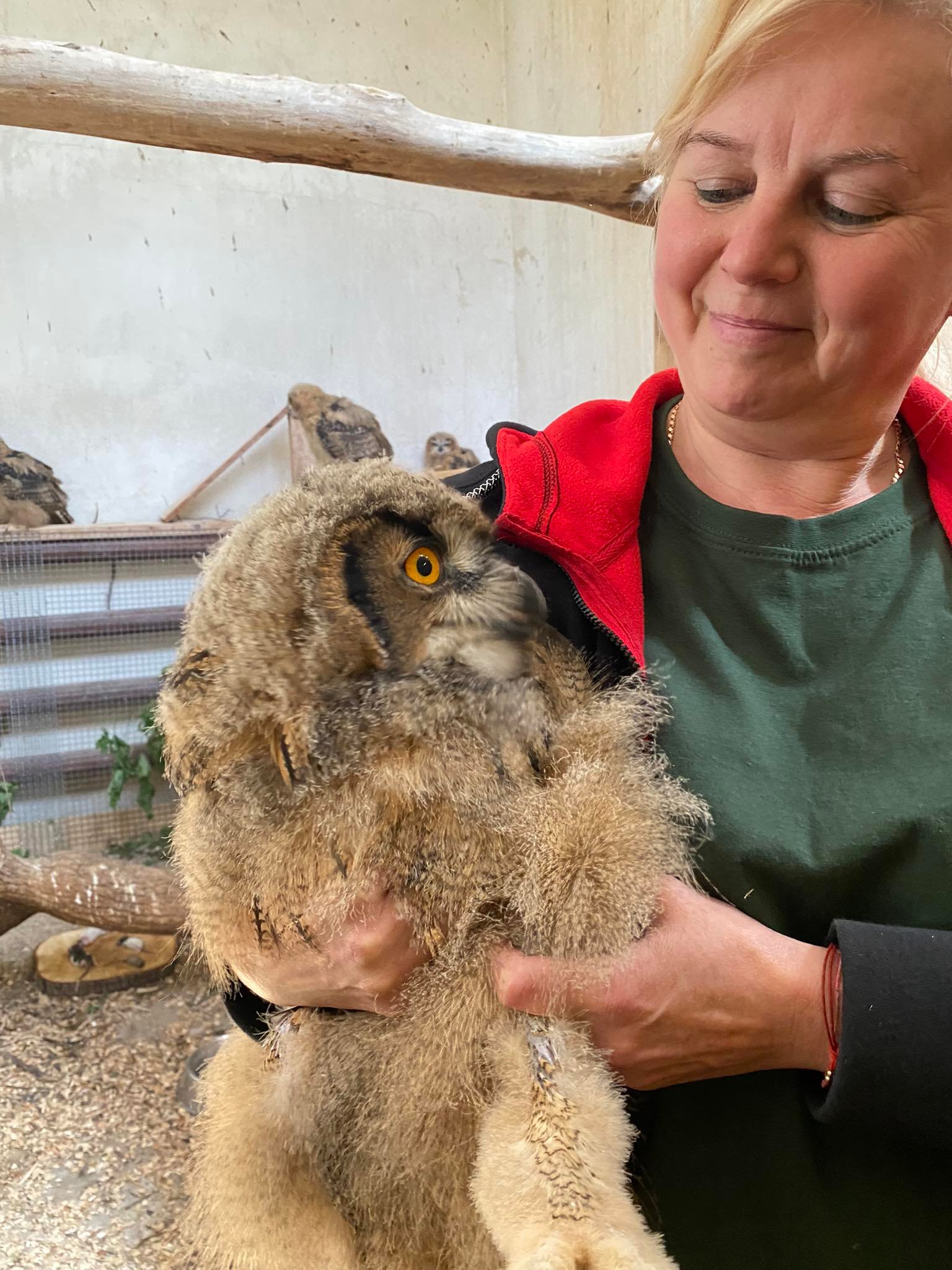 Menininkų vasara kauno zoologijos sode 13