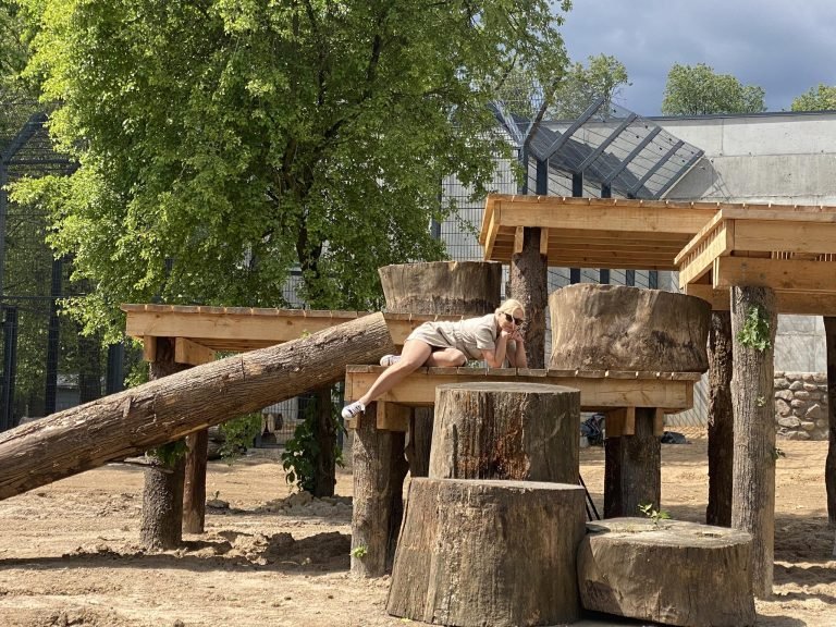 Menininkų vasara kauno zoologijos sode 14