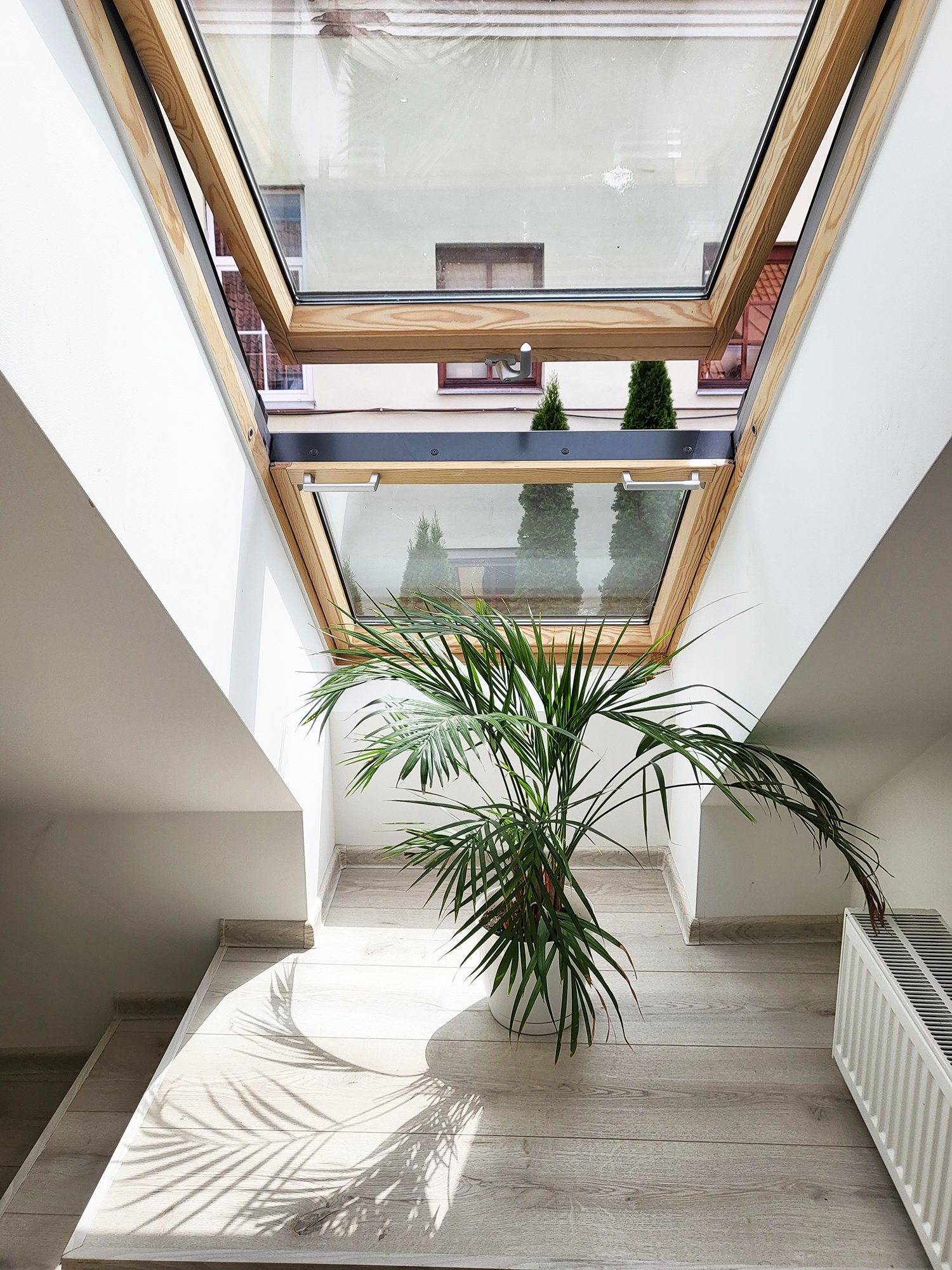 Apartamentų nuoma 9