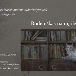 Gm plakatas 11men