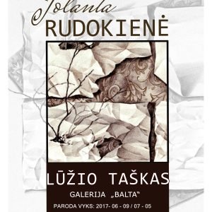 Rudokiene luzio taskas