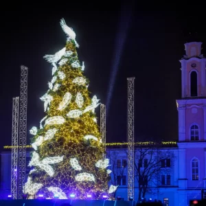 Kaune įžiebta angelo plunksnomis padabinta kalėdų eglė 1