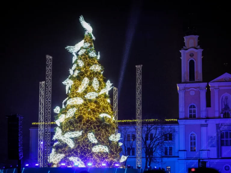 Kaune įžiebta angelo plunksnomis padabinta kalėdų eglė 1
