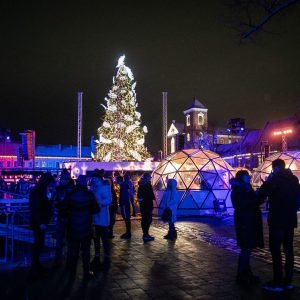 Kaune įžiebta pagrindinė miesto kalėdų eglė žaliaskarė spinduliuoja jaukumu 3