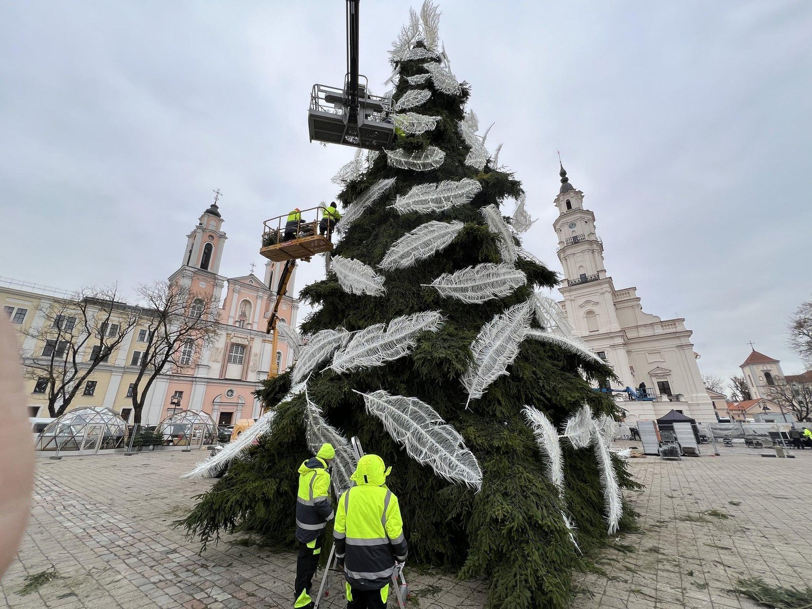 Paaiškėjo kauno eglės paslaptis šiemet čia pasidarbavo virš miesto praskridęs angelas 2