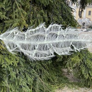 Paaiškėjo kauno eglės paslaptis šiemet čia pasidarbavo virš miesto praskridęs angelas 5