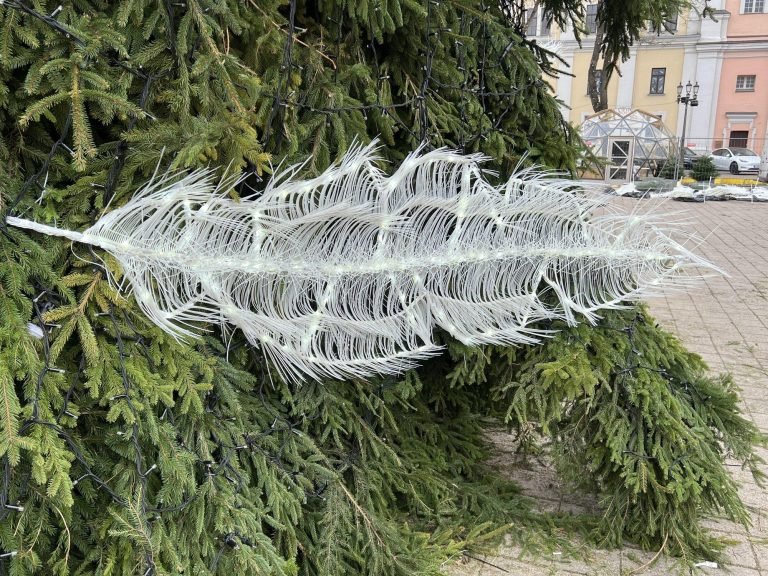 Paaiškėjo kauno eglės paslaptis šiemet čia pasidarbavo virš miesto praskridęs angelas 5